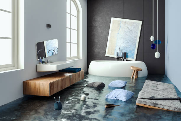 Best Water damage restoration specialists  in Spring Valley Village, TX