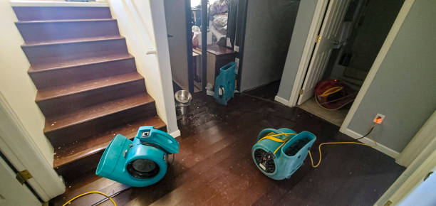 Best Carpet water damage restoration  in Spring Valley Village, TX