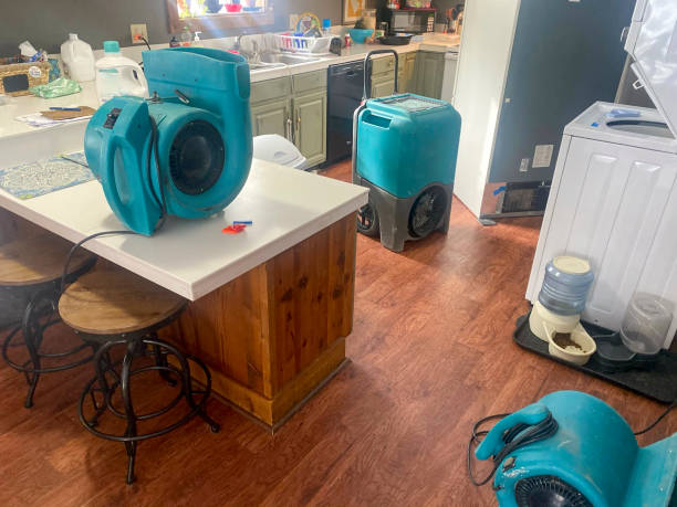 Best Flood damage cleanup  in Spring Valley Village, TX