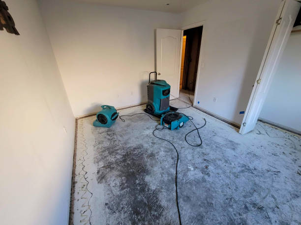 Best Sewage cleanup and water damage restoration  in Spring Valley Village, TX