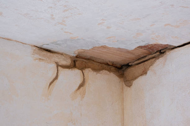 Best 24-hour water damage restoration  in Spring Valley Village, TX