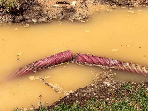  Spring Valley Village, TX Water damage restoration Pros